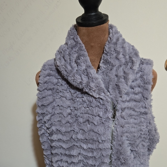 C21 Patagonia Gray Curly Fleece Vest Sz Md Asymetrical Zip Pockets Cropped Back - Picture 2 of 10